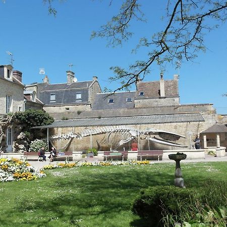 リュック・シュル・メール50 M2 De Charme Au Coeur Des Plaisirs De La Coteアパートメント エクステリア 写真